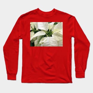 A White Peaceful Poinsettia for a Joyous Christmas Long Sleeve T-Shirt